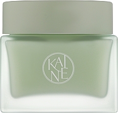 Kup Lekki krem nawilżający z zielonym kompleksem - Kaine Green Calm Aqua Cream