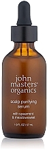 Kup Serum oczyszczające skórę głowy - John Masters Organics Scalp Purifying Serum