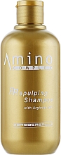 Odbudowujący szampon aminokwasowy - Emmebi Italia Amino Complex Repulping Shampoo — Zdjęcie N1