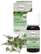 Zestaw olejków eterycznych - Galeo Vital Oils For Winter (ess/oil 3 x 10 ml) — Zdjęcie N3
