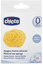 Kup Gąbka dla niemowląt, naturalna - Chicco Natural Marine Sponge Medium