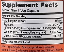 Suplement diety w kapsułkach wspomagający trawienie - Now Foods Dairy Digest Complete — Zdjęcie N3