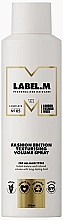 Kup Teksturyzujący spray zwiększający objętość - Label.m Fashion Edition Texturising Volume Spray
