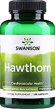 Ekstrakt z głogu, 250 mg - Swanson Hawthorn Extract — Zdjęcie N1