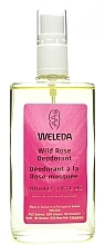 PRZECENA! Dezodorant w sprayu z dziką różą - Weleda Wild Rose Deodorant * — Zdjęcie N3