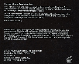 Kompaktowe cienie mineralne - Youngblood Pressed Mineral Eyeshadow Quad — Zdjęcie N4