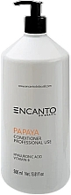 Odżywka do włosów - Encanto Do Brasil Papaya Conditioner Professional Use — Zdjęcie N1