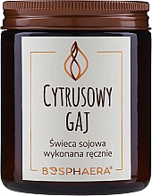 Kup Zapachowa świeca sojowa Cytrusowy gaj - Bosphaera Citrus Grove Candle