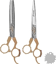 Profesjonalny zestaw nożyczek fryzjerskich - Lewer (scissors/2pcs + case/1pc) — Zdjęcie N1