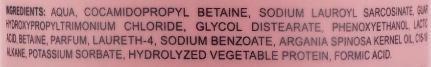 Szampon do włosów suchych i nieposłusznych Ananas i imbir - BjOrn AxEn Argan Oil Shampoo  — Zdjęcie N2