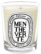 Kup Świeca zapachowa - Diptyque Menthe Verte Candle