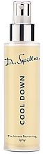 Intensywnie rewitalizujący spray do twarzy - Dr. Spiller Source Of Beauty Cool Down Intense Recovering Spray — Zdjęcie N2