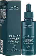 Kup Ochronny koncentrat do skóry głowy - Aveda Pramasana Protective Scalp Concentrate