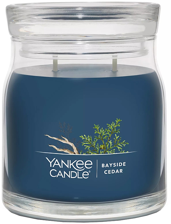 Świeca zapachowa w słoiku Cedar, 2 knoty - Yankee Candle Bayside Cedar — Zdjęcie N1