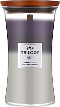 Świeca zapachowa - Woodwick Trilogy Hourglass Candle Amethyst Sky — Zdjęcie N1