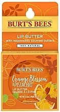 Masełko do ust Pomarańcza i pistacja - Burt's Bees Orange Blossom & Pistachio Lip Butter — Zdjęcie N2