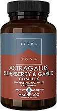 Suplement diety Kompleks traganka, czarnego bzu i czosnku - Terranova Astragalus Elderberry & Garlic Complex — Zdjęcie N2