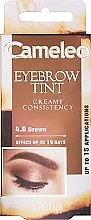 Krem do koloryzacji brwi (brązowy) - Delia Eyebrow Tint Cream Cameleo 4.0 Brown — Zdjęcie N1