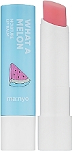 Odżywczy balsam do ust - Manyo Factory What A Melon Moisture Lip Balm — Zdjęcie N1