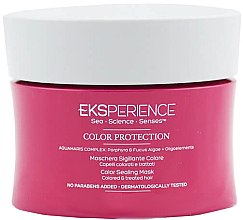 Maska do włosów farbowanych - Revlon Professional Eksperience Color Maintenance Mask — Zdjęcie N1