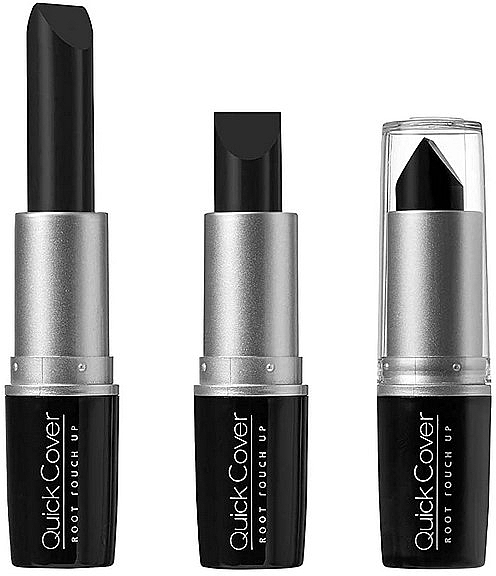 Pomada do włosów - Kiss Quick Cover Gray Hair Touch Up Stick — Zdjęcie N2