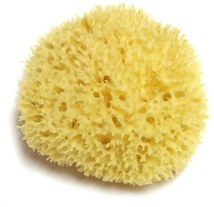 Myjka do ciała - Hydrea London Honeycomb Sea Sponge Premium Quality — Zdjęcie N2