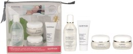 Kup Zestaw "Ideal Resource" - Darphin Anti-Aging and Radiance Expert Program (Water/50ml + Mask/15ml + Cr/15ml + Cr/15ml + Bag)