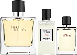 Hermès Terre d’Hermès - Zestaw (edt 75 ml + edt 12,5 ml + ash/lot 40 ml) — Zdjęcie N2