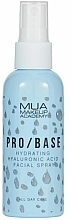 Kup Mgiełka do twarzy z kwasem hialuronowym - MUA Pro Base Hyaluronic Acid Facial Mist