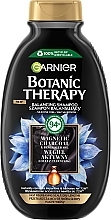 Szampon do włosów z węglem aktywnym i olejem z czarnuszki - Garnier Botanic Therapy Balancing Shampoo — Zdjęcie N1
