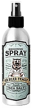 Kup Spray-tonik do włosów z solą morską - Mr Bear Family Sea Salt Grooming Spray
