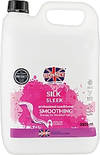 Odżywka z proteinami jedwabiu - Ronney Professional Silk Sleek Smoothing Conditioner — Zdjęcie N3