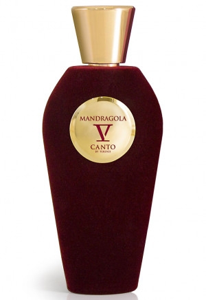 V Canto Mandragola - Woda perfumowana