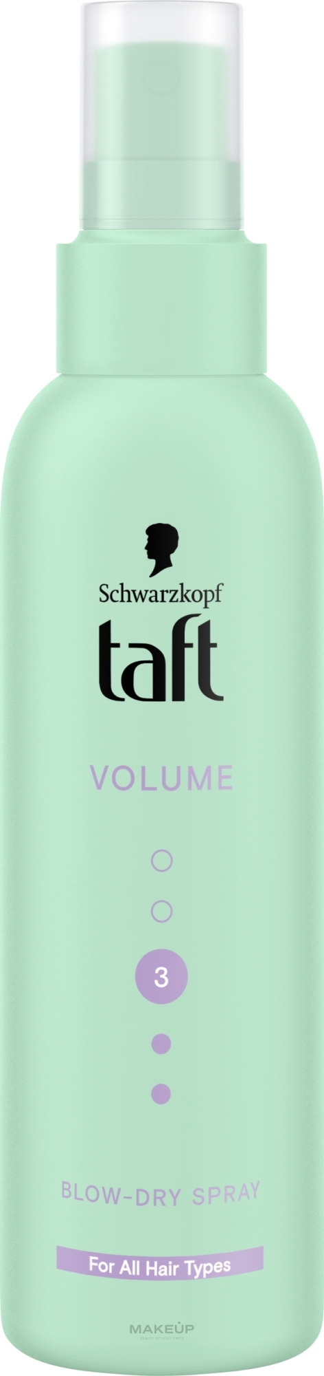 Spray do stylizacji włosów suszarką - Taft Volume — Zdjęcie 150 ml