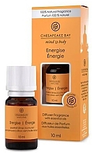 Kup PRZECENA! Dyfuzor zapachowy - Chesapeake Bay Energise Diffuser Fragrance *