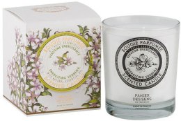 Kup Panier Des Sens Verbena - Świeca zapachowa