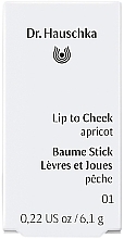 Róż w sztyfcie - Dr. Hauschka Lip To Cheek — Zdjęcie N3