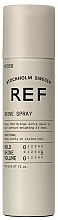 Kup Nabłyszczający spray do włosów - REF Shine Spray 
