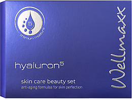 Kup Zestaw do makijażu - Wellmaxx Hyaluron5 Skin Care Beauty Set II (gel/concen/15ml + cr/15ml + ser/concen/15ml + gel/concen/5ml)