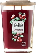 Kup Świeca zapachowa - Yankee Candle Elevation Candied Cranberry