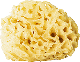 Kup Naturalna gąbka do kąpieli, żółta, 12,5 cm - Hhuumm 03H Natural Sponge