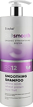 Szampon do włosów puszących się - Erayba Bio Smooth Smoothing Shampoo BS12 — Zdjęcie N3