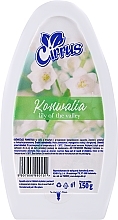 Kup Żelowy odświeżacz powietrza Konwalia - Cirrus Lily of the Valley