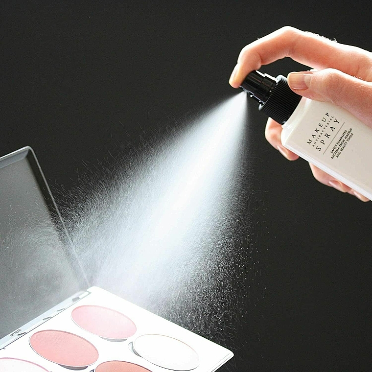 The Pro Hygiene Collection Antibacterial Make-up Spray - Antybakteryjny  spray do dezynfekcji przyborów kosmetycznych