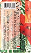 Roślinne mydło w kostce Ambra i czerwony mak - Nesti Dante — Zdjęcie N2