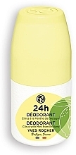 Dezodorant w kulce 24 h o zapachu cytrusów z miętą z Bretanii - Yves Rocher 24H Deodorant Citrus With Mint — Zdjęcie N1