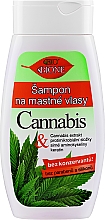 Kup Szampon do włosów przetłuszczających się - Bione Cosmetics Cannabis Shampoo