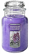 Świeca zapachowa - Yankee Candle Lilac Blossoms — Zdjęcie N1