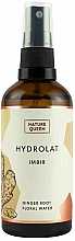 Kup Hydrolat imbirowy - Nature Queen Hydrolat Imbir