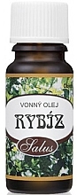 Olejek aromatyczny Currant - Saloos Fragrance Oil — Zdjęcie N1